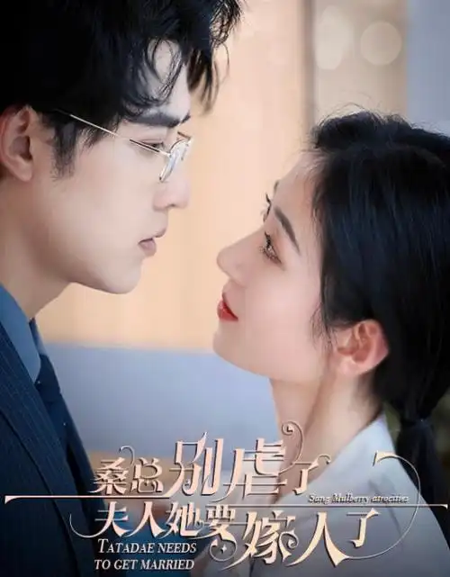 合租守则 剧集在线观看
